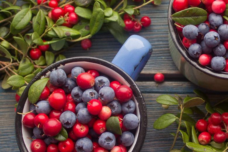 Саженцы голубики, брусники и клюквы – выращивайте на своём участке!