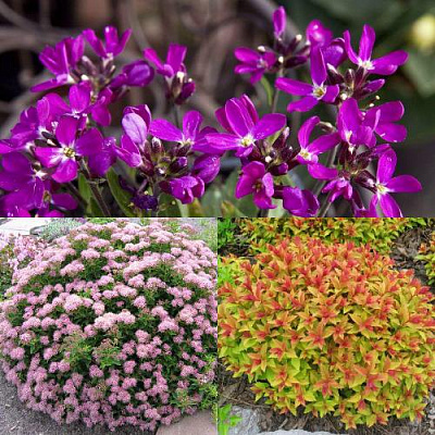 Комплект ЯПОНСКИЙ САД в Павлодаре