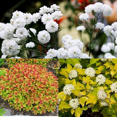 Комплект СОЛНЕЧНЫЙ МИКС в Павлодаре