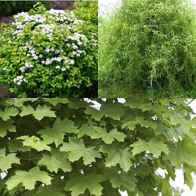 Комплект ЗЕЛЕНЫЙ ОАЗИС в Павлодаре