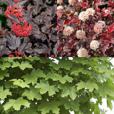 Комплект ОСЕННИЙ КОСТЕР в Павлодаре