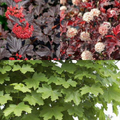 Комплект ОСЕННИЙ КОСТЕР в Павлодаре