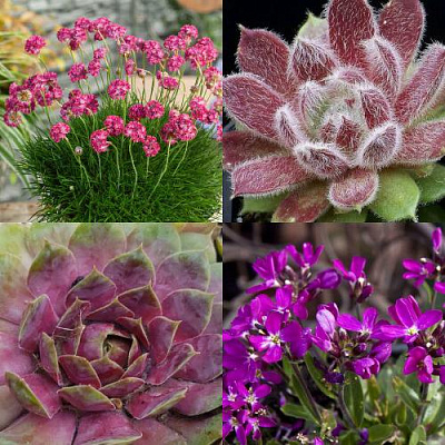 Комплект МИНИ САД в Павлодаре