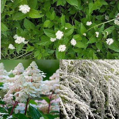 Комплект СКАНДИНАВСКИЙ СТИЛЬ в Павлодаре