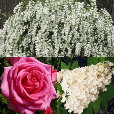 Комплект ВЕЧНАЯ КЛАССИКА в Павлодаре