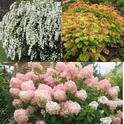 Комплект ФЕЙЕРВЕРК ЛЕТА в Павлодаре