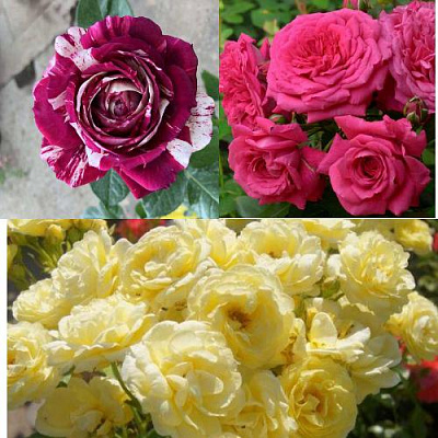 Комплект РОЗОВЫЙ АКЦЕНТ в Павлодаре