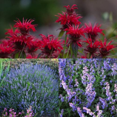 Комплект АРОМАТНЫЙ ЧАЙ в Павлодаре