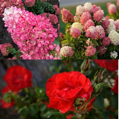 Комплект РОЗОВЫЙ ЗАКАТ в Павлодаре