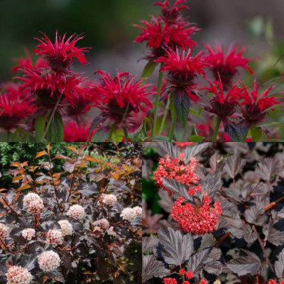 Комплект ОГНЕННЫЙ МИКС в Павлодаре