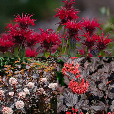 Комплект ОГНЕННЫЙ МИКС в Павлодаре